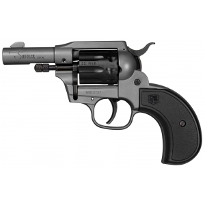SIDEKICK 22LR/22M GR BIRDSHEAD