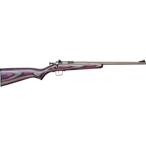 Crickett KSA2228 Crickett 22 LR 1 16.12 SS Blued Purple Right Youth/Compact Hand