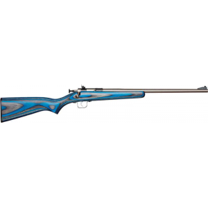 Crickett KSA2223 Crickett  22 LR 1 16.13 SS Blued Right Youth/Compact Hand