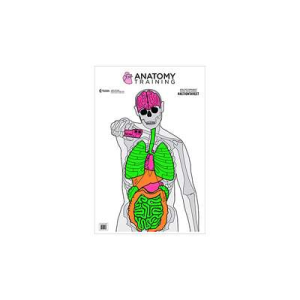 ACTION TGT ANATOMY TRNG 100PK