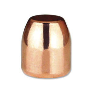 .45 Cal. (.452) 200gr RS 500 rounds bullets
