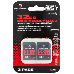 STEAL STC-32GB-2PK 32GB SD CARD 2PK