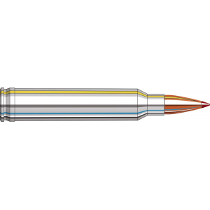 HORN 821974 Outfitter 300 Win 180 Cx Otf 20/10