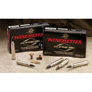 Winchester Ammo SBST2506A Ballistic Silvertip  25-06 Rem 85 gr Polymer Tip 20 Bx/ 10 Cs