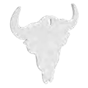 Birchwood Casey BC-47719 Centerfire Silhouette Skull 3/8 AR500 Steel Target