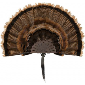 ALLEN 7238 EZ MOUNT TURKEY FAN DISPLAY