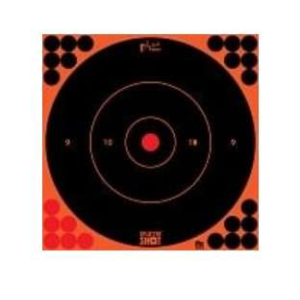12IN ORANGE BULLS EYE TARGET 12 PK BAG