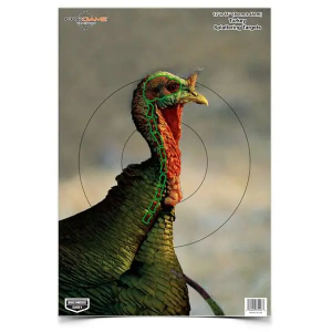 Birchwood Casey 35403 Pregame  Turkey Hanging Paper Target 12 x 18 8 Per Pack