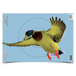 BC PREGAME DUCK 12X18 TGT 8/PK