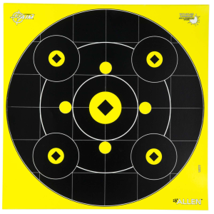 ALLEN 15577 SPLASH BULLSEYE GALLERY / GRID TARGET