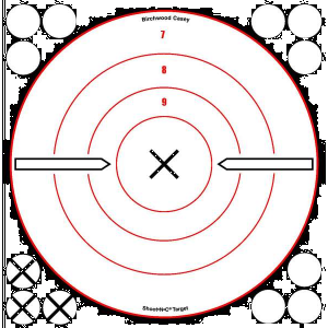 Birchwood Casey 34802 Shoot-N-C  Self-Adhesive Paper 8 Bullseye Black Target Paper w/White Target & Red Accents 6 Per Pack