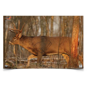 Birchwood Casey 37481 EZE-Scorer  Paper 23 x 35 Whitetail Deer 2 Per Pack