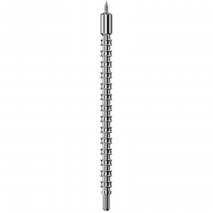 REAL AVID BORE MAX JAG 6.5MM