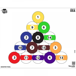 ALLEN 15786 EZ AIM FUN SHTN POOL TARGET 24X19 4PK