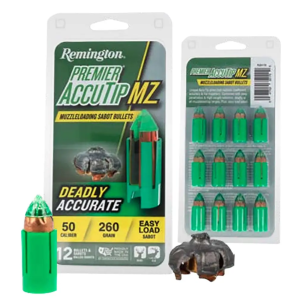 047700201795 REM Accutip 260gr Sabot /12 047700201795 047700201795