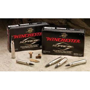 30-06 Ammo - Winchester Ammo Ballistic Silvertip Springfield Polymer Tip Winchester Ballistic Silvertip Springfield Polymer Tip Ammo