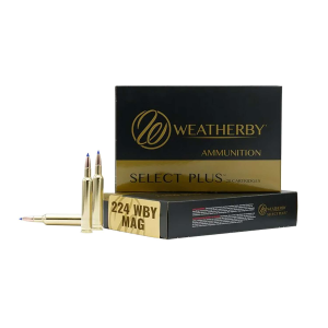 Weatherby Hammer Custom Case Ammo