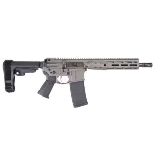 IC-DI 5.56 10.5 TB MLOK SBA Brace Tungsten 30rd