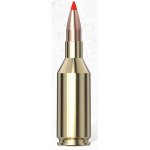 Hornady Case Ammo