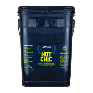 Domain Hot Chic Seed