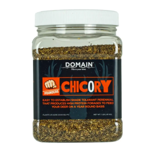 Domain Chicory Pounder Seed