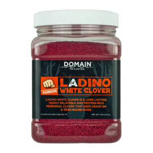 Domain White Clover Pounder Seed