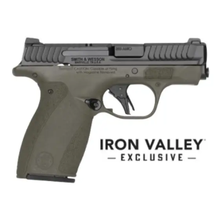 M&P Bodyguard 2.0 380ACP 2.75 NTS ODG 10/12 IVS