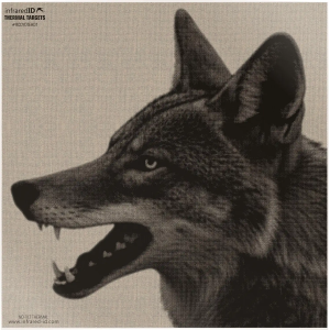 INFRARED-ID RCOYOTEHD1 Thermal Coyote Head Target