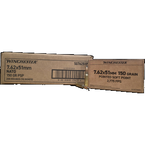 Brown PSP Case Ammo