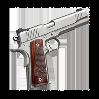 Kimber Stainless II 9mm Luger 5 Barrel Pistol