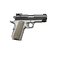 Kimber Aegis Elite Pro 4.45 ACP  8+1 Pistol