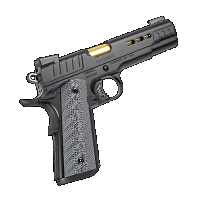 Kimber Rapide 45 ACP DN, NS G10