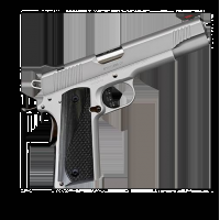 Kimber Stainless LW Arctic 1911, .45acp, 5 Barrel, 1- 8rd Magazine, Pistol