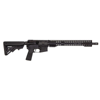 RADICAL 300BLK 16 SHR HG 30RD BLK