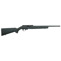 BLACK RAIN SPORTSMAN RIA 22LR 18IN BBL BLACK OVERMOLD STOCK 10RD