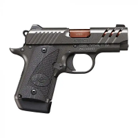 KIMBER MICRO 9 ESV GRAY 9mm 3.15 7 Rd. Pistol