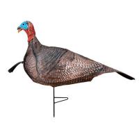 Primos 69069 Photo Form Jake Turkey Decoy