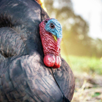 Primos Photoform Strutter Turkey Decoy