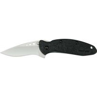 Kershaw 1620 Scallion  2.40 Drop Point Plain Bead Blasted 420HC Steel FRN Black Handle Folding