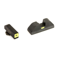 AmeriGlo GL605 CAP Night Sight Fits Glock 42/43 Tritium Green w/LumiGreen Outline Front Black w/Paint LumiGreen Rear