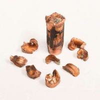 MAXIMUS Rifle Hunting Bullet Bullets 0.308 150 gr 50rds