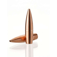 MTH GEN2 MATCH/TACTICAL/HUNTING 6MM CALIBER .243'' RIFLE BULLETS