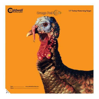 CALDWELL ORANGE PEEL TURKEY TARGET 12 5-PACK