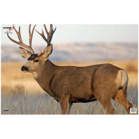 Birchwood Casey 37482 EZE-Scorer Mule Deer Paper 23 x 35 Mule Deer 2 Per Pack