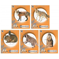 Champion Targets Critter Paper Targets 10 Pack