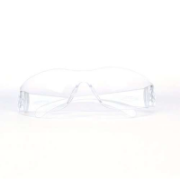 Eyewear Clear Temples Clear Uncoated Lens