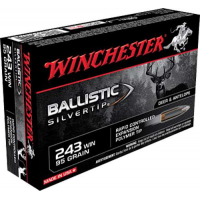 Winchester Ammo SBST243A Ballistic Silvertip  243 Win 95 gr Polymer Tip 20 Bx/ 10 Cs