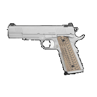 Dan Wesson 01802 Specialist  45 ACP 5 8+1 Stainless Steel Black/Brown G10 Grip