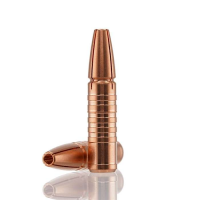 RAPTOR 308 CALIBER (.308'') SUBSONIC RIFLE BULLETS