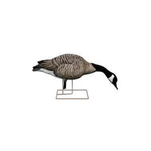 Avian-X AXP Honker Fusion Canada Goose Decoy 6 Pack